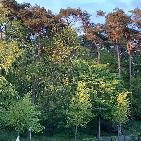 04 In Gluckauf